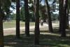 dsc_0106_t1.jpg