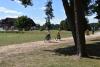 dsc_0107_t1.jpg