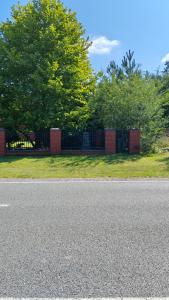 dsc 5951b
