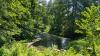 dsc_5955_t1.jpg
